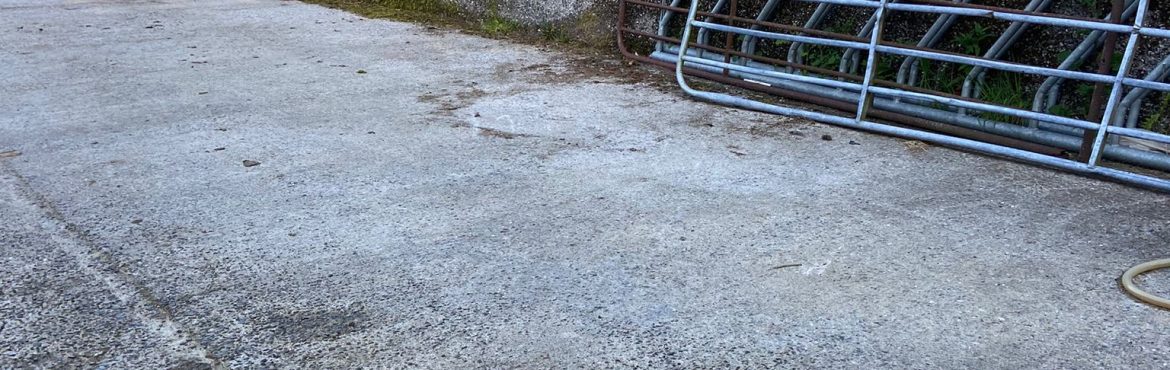 How to Clean Cobblelock Driveways 3 Driveway Cleaning