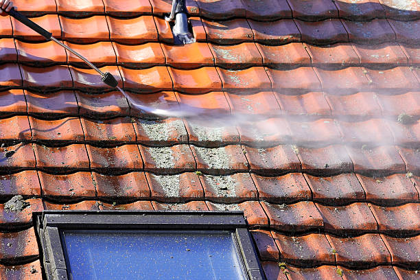 Roof Cleaning Kilkenny service2