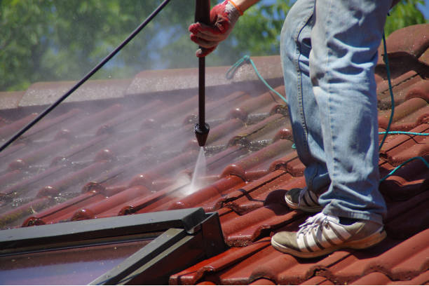 Roof Cleaning Kilkenny service3