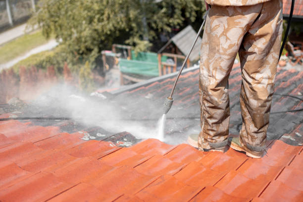 Roof Cleaning Kilkenny service4
