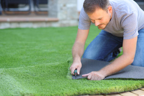 artificial lawn