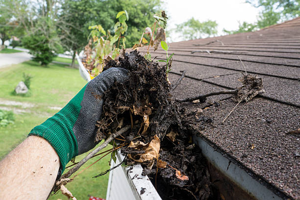Gutter Cleaning Kilkenny Service 1
