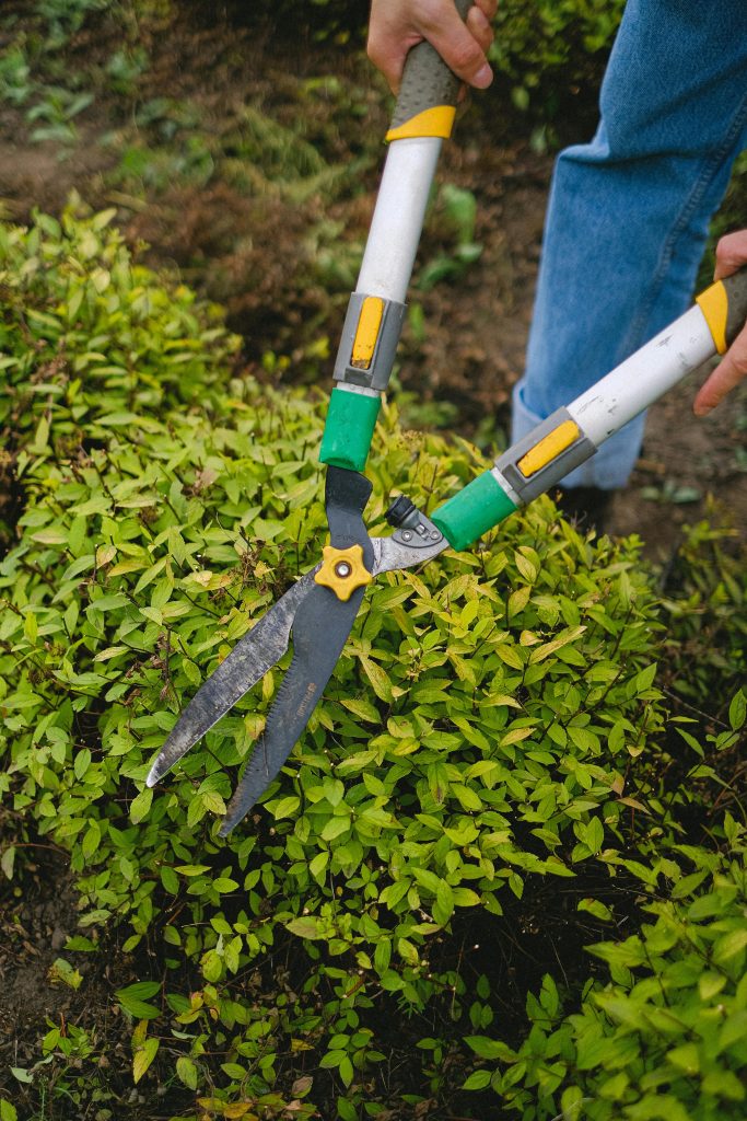 Hedge Trimming Kilkenny service 3